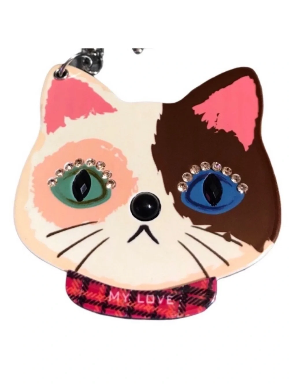 N/A cute cat